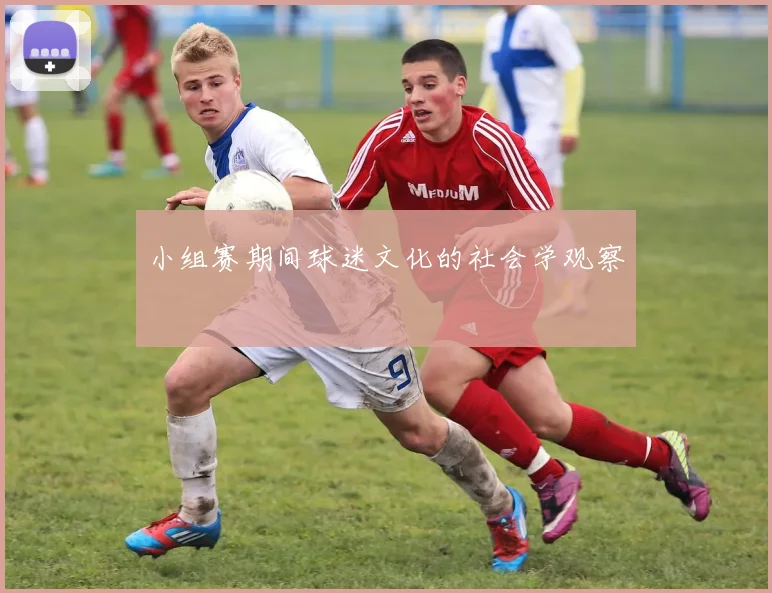 小组赛期间球迷文化的社会学观察