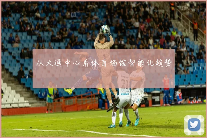 从大通中心看体育场馆智能化趋势