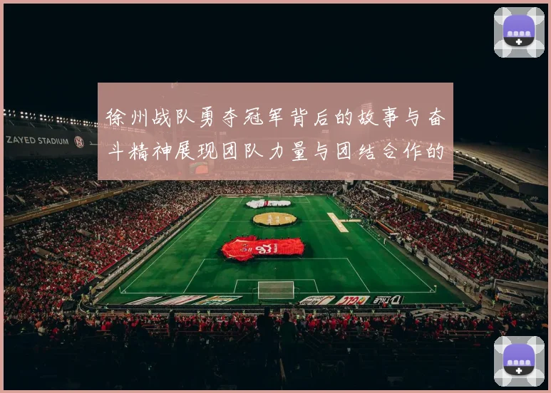 徐州战队勇夺冠军背后的故事与奋斗精神展现团队力量与团结合作的重要性