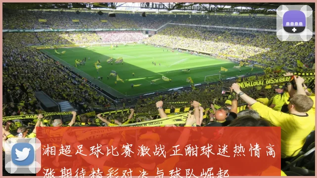 湘超足球比赛激战正酣球迷热情高涨期待精彩对决与球队崛起