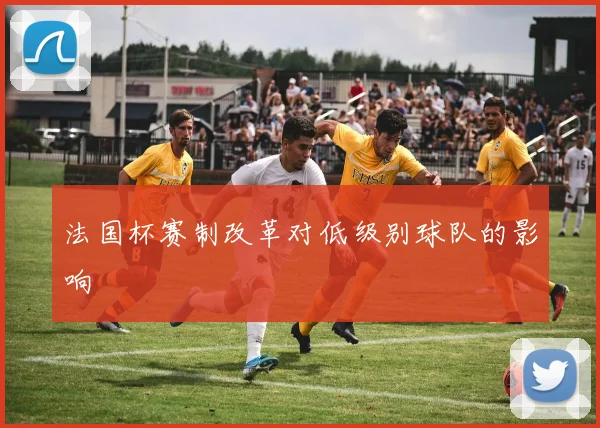 法国杯赛制改革对低级别球队的影响