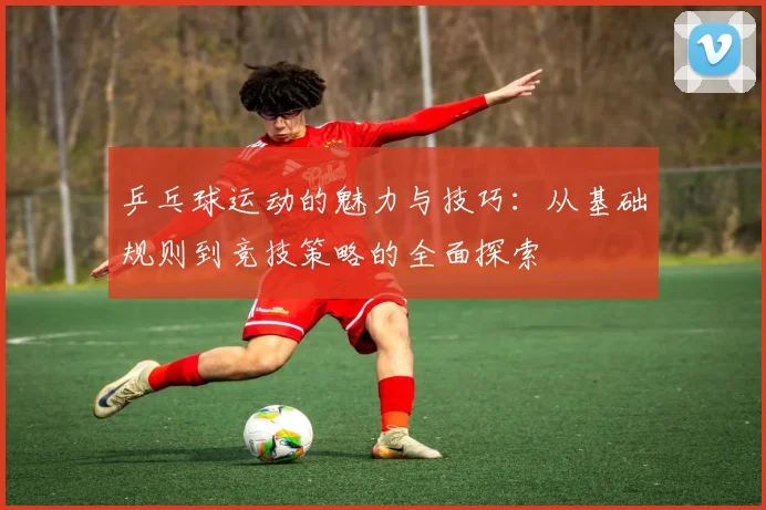 乒乓球运动的魅力与技巧：从基础规则到竞技策略的全面探索